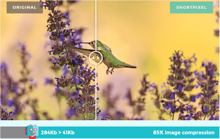 SEO Image compression wordpress seo